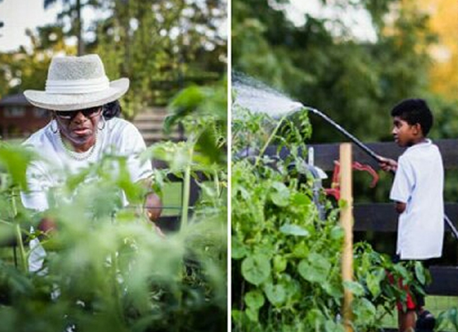 Community Garden